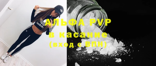 молекула духа Вязьма