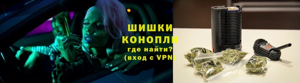 молекула духа Вязьма
