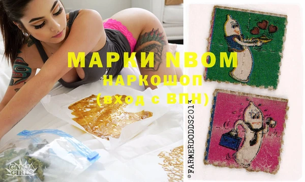 молекула духа Вязьма