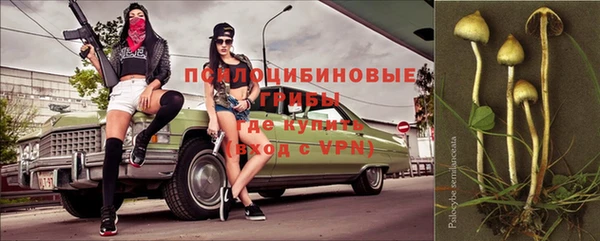 молекула духа Вязьма