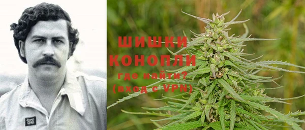 молекула духа Вязьма