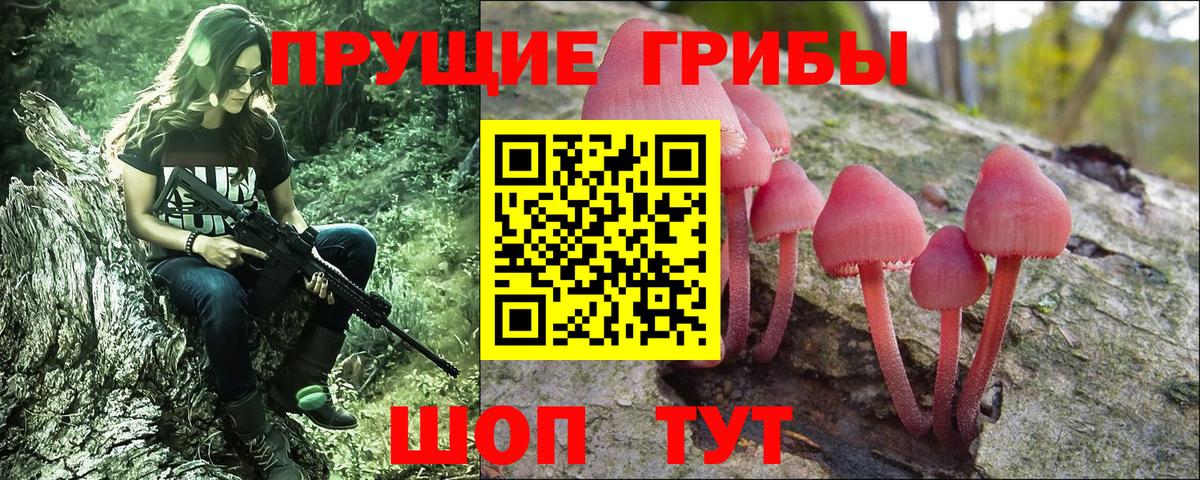 Дальнереченск  Галлюциногенные грибы Psilocybine cubensis  купить наркоту  Вход с VPN 