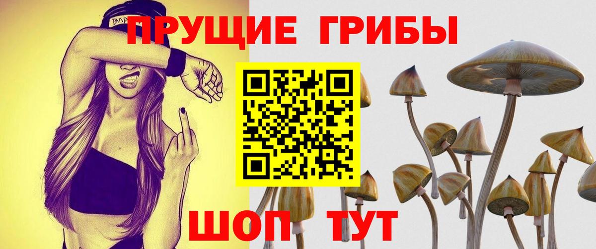 Псилоцибиновые грибы ЛСД Дальнереченск